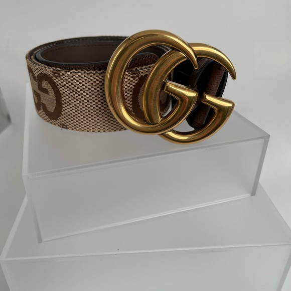 Gucci Double G Buckle GG Supreme Canvas & Leather Belt Brown - Picture 2 of 6
